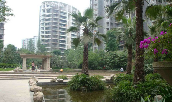 �ص���������