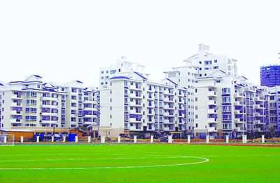 �ڽ�����Զ��԰�ֹ�����