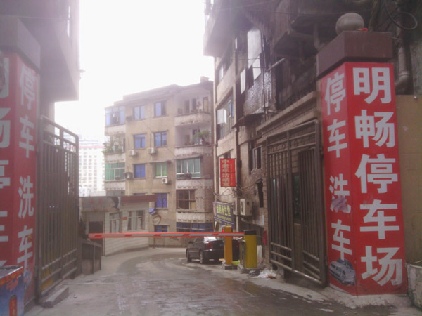 ��������ͣ����