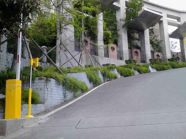 ����������ѧ 